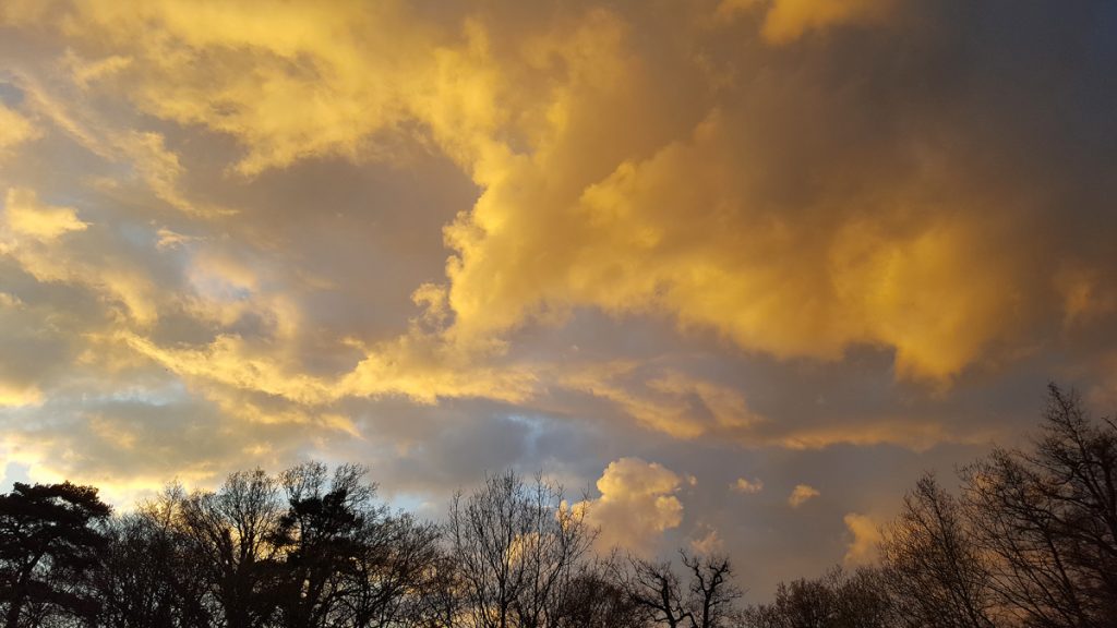 Smartphone photo of yellow clouds just before sunset